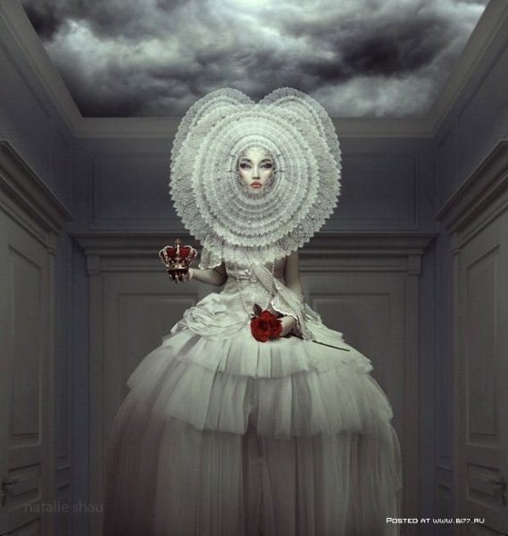 -   - Natalie Shau - 5