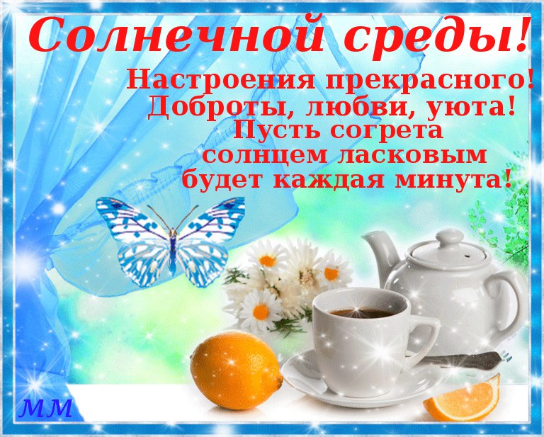  ! - 17  2016  06:31