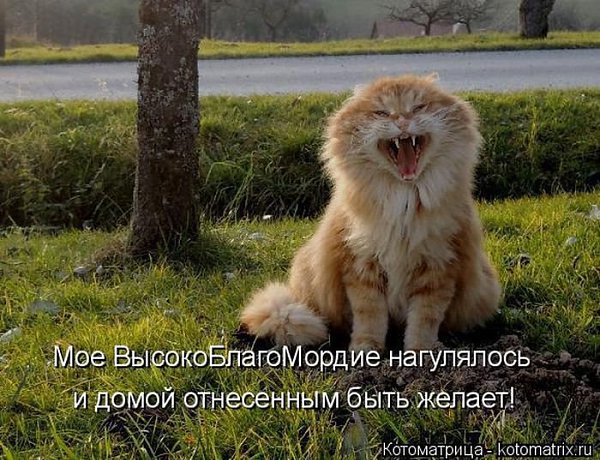 Муж заподозрил жену в том, что она ему изменяет. Уехав однажды якобы в командировку, он стал следить ...