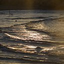 ���� �� ������� ���� ����������