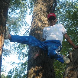 �����, �������, 72 ����