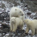 ����� ��������� �� ������� ���� ����������