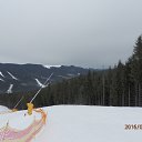 ���� Z ����, �������, 70 ��� - ��������� 7 ����� 2016 � ������ ���� ����������