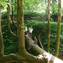 ���� �����, ������, 54 ���� - ��������� 6 ������ 2016 � ������ ���� ����������