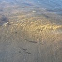 ���� �����, �����-���������, 51 ��� - ��������� 20 ������� 2016 � ������ ��� �������