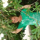 ���� �����, ������, 50 ��� - ��������� 18 ������� 2016 � ������ ���� ����������