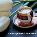 ���� �����, ������������, 59 ��� - ��������� 5 ������ 2016 � ������ �������� ��������