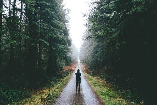 Ваш мозг может все. Абсолютно все. Главное, убедить себя в этом. Руки не знают, что они не умеют ...