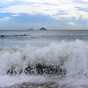 ���� ����� ����������, ������������, 49 ��� - ��������� 27 ������ 2016 � ������ ���� ����������