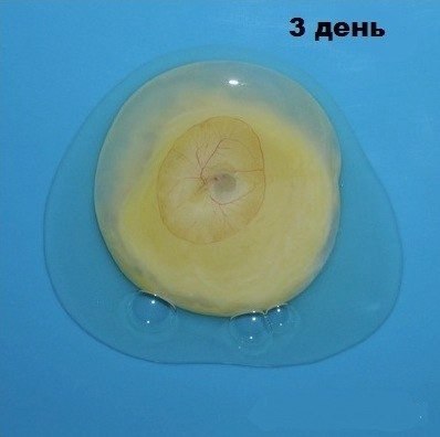     - 2