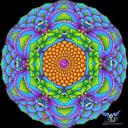 ���� ���������, ������, 36 ��� - ��������� 3 ����� 2016