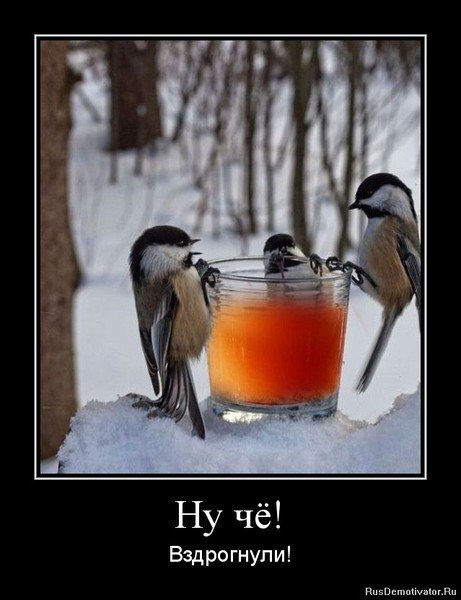 ����� - 17 ������� 2015 � 22:28