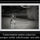 ������ �����. �� ������� ���� ����������