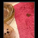 ���� ���������� ���������� ������, ����������� - ��������� 11 ������� 2015 � ������ ������ ��������