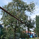 ���� ���������, �����, 58 ��� - ��������� 20 ������ 2015 � ������ ���� ����������