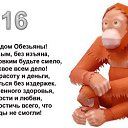 ���� ������, ���������, 45 ��� - ��������� 1 ������ 2016 � ������ ���� ����������