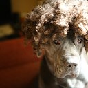 ���� ����, �����-���������, 36 ��� - ��������� 13 ������� 2015 � ������ ����� 2015�