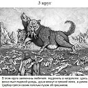 ���� �����, ����-���������, 40 ��� - ��������� 13 ������ 2016 � ������ ������ ��������