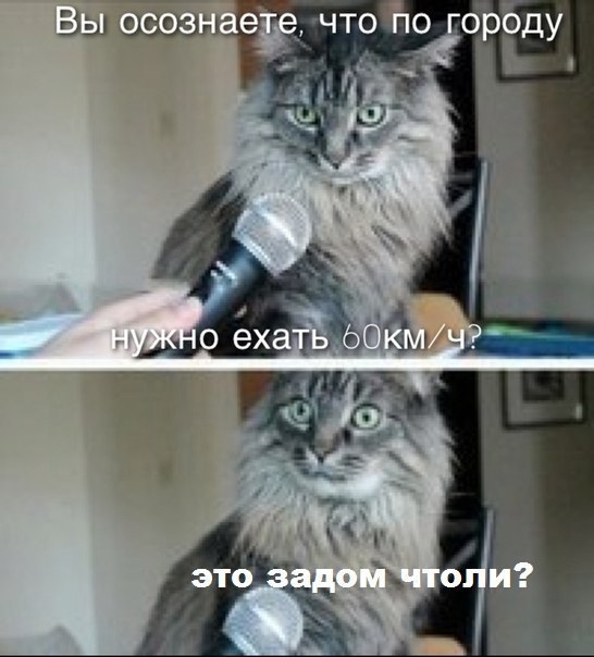 �������� | ���� � ���� - 5 ������� 2015 � 22:01