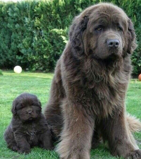 ������������. ���� � ������� - 6