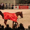 ���� ������, �����-���������, 70 ��� - ��������� 4 ������� 2015 � ������ ��� ������ �������� � �����-����������