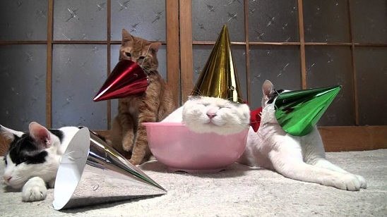 �������� �������� - 4 ����� 2016 � 15:02
