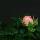 ���� ������, �����-���������, 57 ��� - ��������� 7 ����� 2016 � ������ ������