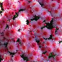 ���� ���������, �����-���������, 50 ��� - ��������� 12 ������� 2015 � ������ ���� ����������