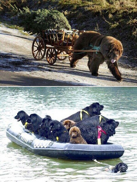 ������������. ���� � ������� - 2