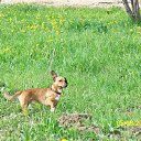 ���� ������, ���������, 64 ���� - ��������� 10 ������ 2016 � ������ ���� ����������