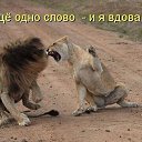 ���� Der�ka�, ������ - ��������� 25 ������� 2016 � ������ ������ ��������