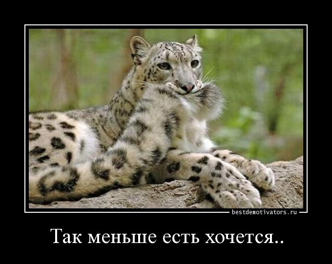 ***Victoria Viktorovna*** - 1  2016  07:06