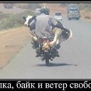 ���� ����, ��������� - ��������� 27 ������ 2015 � ������ ������ ��������