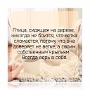 ���� ������, ����, 68 ��� - ��������� 29 ������� 2016 � ������ ������ ��������