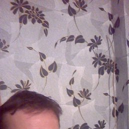 ������, 50 ���, �����