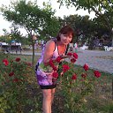 ���� �������, �����, 68 ��� - ��������� 22 ������� 2015 � ������ ���� ����������