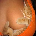 ���� ����, �����, 38 ��� - ��������� 26 �������� 2015 � ������ �������