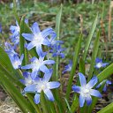 ���� ������, ��������, 55 ��� - ��������� 28 �������� 2015 � ������ ���� ����������