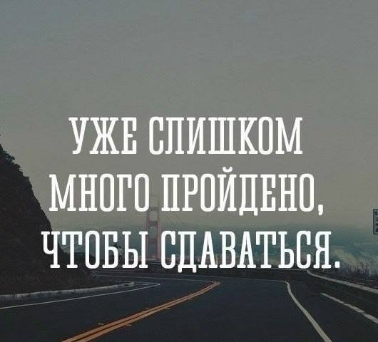  | ,  - 17  2015  08:31