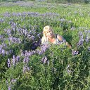 ���� �������, ������� ��� - ��������� 13 ������� 2015 � ������ ���� ����������