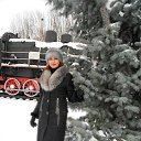 ���� ���, ����, 47 ��� - ��������� 22 ������ 2016 � ������ ���� ����������