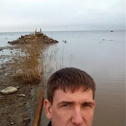 ��������� �����������, �������, 42 ����