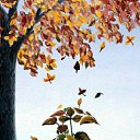 ���� ����, �������� - ��������� 18 ������� 2015 � ������ ������ ��������