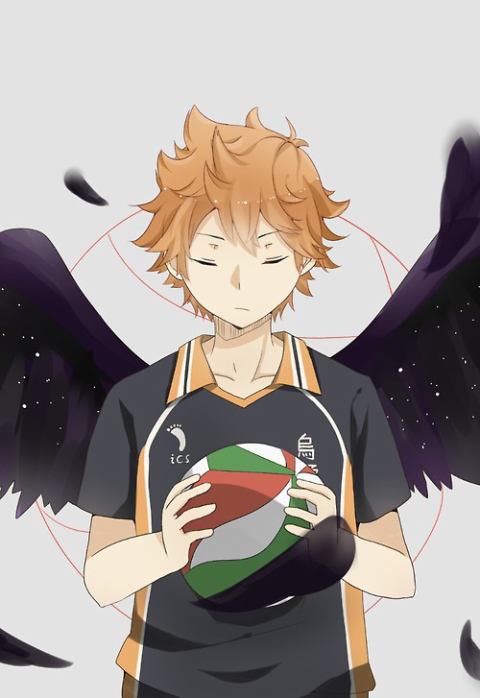 !! / Haikyuu!!