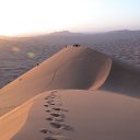 ���� �������, �����������, 74 ���� - ��������� 20 ������ 2016