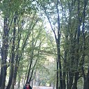 ���� *���������*, ����������� - ��������� 15 ������� 2015 � ������ ���� ����������