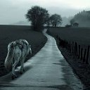 ���� ������, ������, 37 ��� - ��������� 1 ����� 2016 � ������ ������ ��������