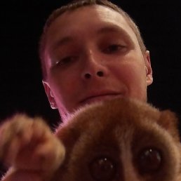 ����, �����������, 39 ���