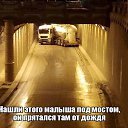 ���� ������, �����������, 41 ��� - ��������� 7 ������ 2016 � ������ ������ ��������