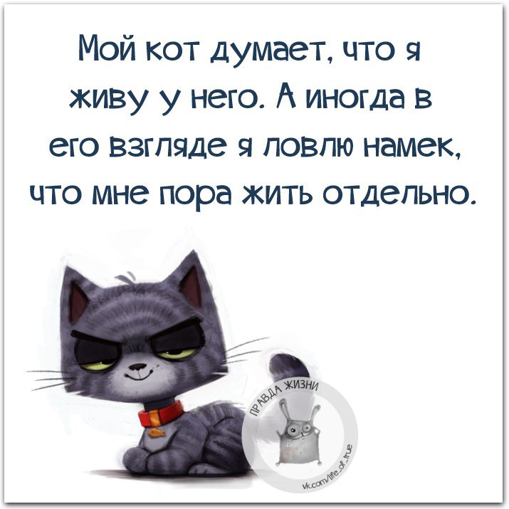   - 29  2015  23:41